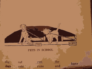 Pets in school vector image